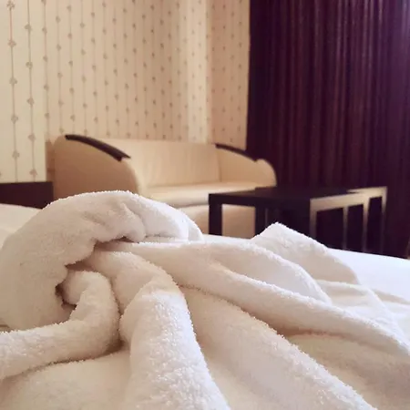 Guest house Saint Apostol 2*