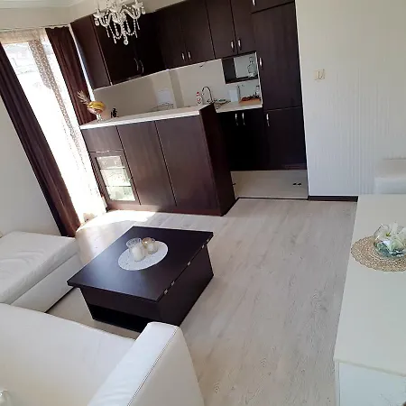 Guest house Saint Apostol 2*