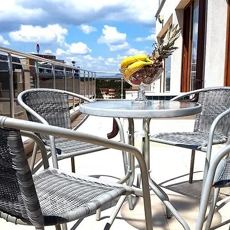 Guest house Saint Apostol 2*